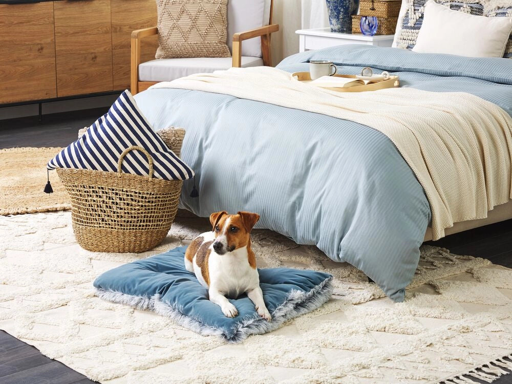 Cuccia animali letto per cani lettino gatti velluto blu con nappe 60 x 45 cm