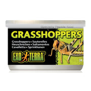 Exoterra Grasshoppers 34gr - Cavallette in Scatola