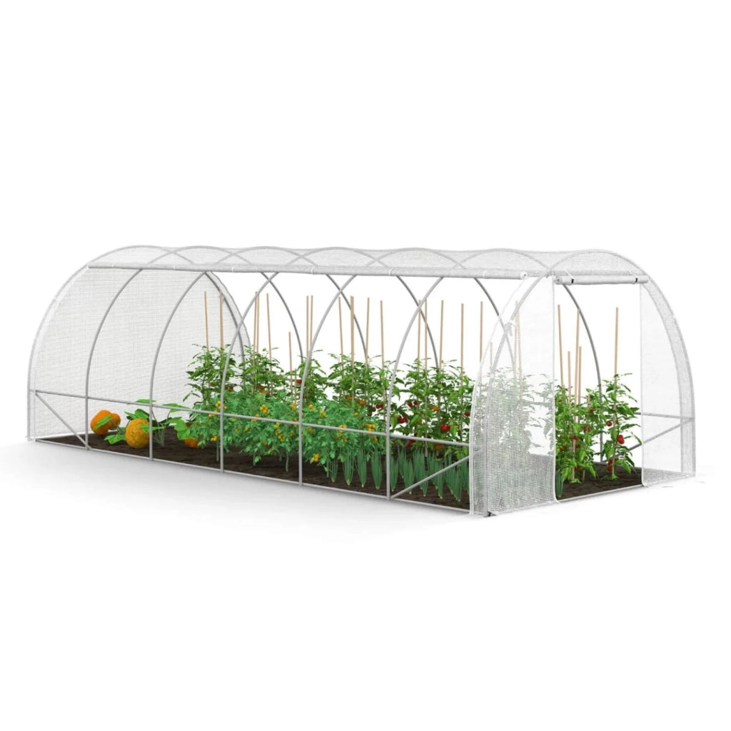 IDMarket - Telone di ricambio per serra da giardino a tunnel da 18 m² (6 x 3 x 2 m), anti-UV, con porta e finestre, modello CRIMÉE bianco,