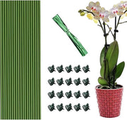 Set di sostegni per piante e clip - 20 steli per orchidee per sostenere le piante

o Alternativa: 
Set di sostegni per piante e clip - 20 steli per orchidee per supporto alle piante