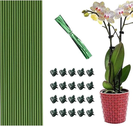 Set di sostegni per piante e clip - 20 steli per orchidee per sostenere le piante

o Alternativa: 
Set di sostegni per piante e clip - 20 steli per orchidee per supporto alle piante