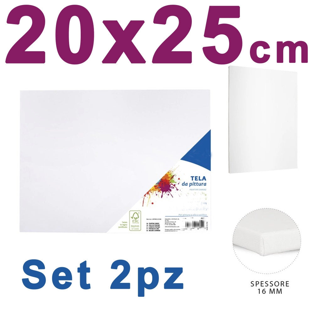Trade Shop - 2 Tela Per Dipingere Canvas Rettangolare 20 X 25 Cm Artico Disegno Arte Pittura -