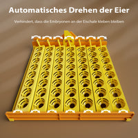 Incubatrice automatica per 112 uova, con regolazione temperatura e umidità, Covatrice