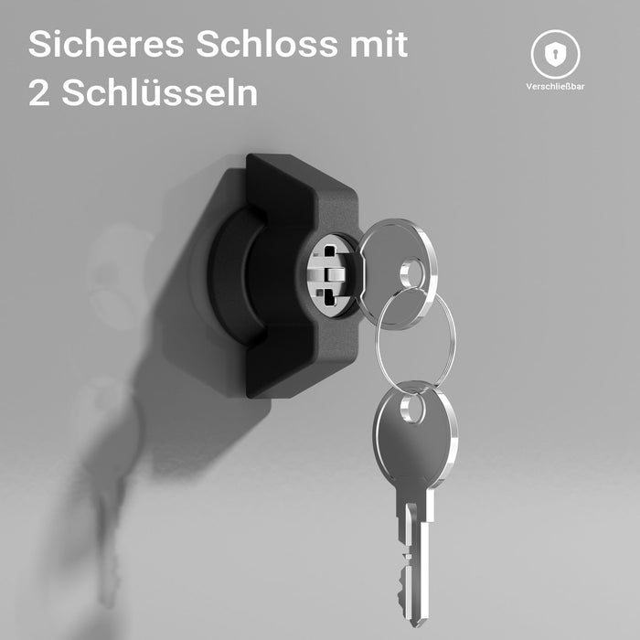 Cassetta postale portapacchi silver per pacchi medi e piccoli Parcel box