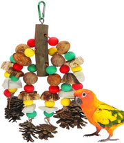 giocattoli per beccare per uccelli, giocattoli per pappagalli, vari colori giocattoli naturali in legno di pino con noci di pino, per cacatua, piccoli pappagalli, pappagalli delle paludi, pappagalli ara, pappagalli falcone