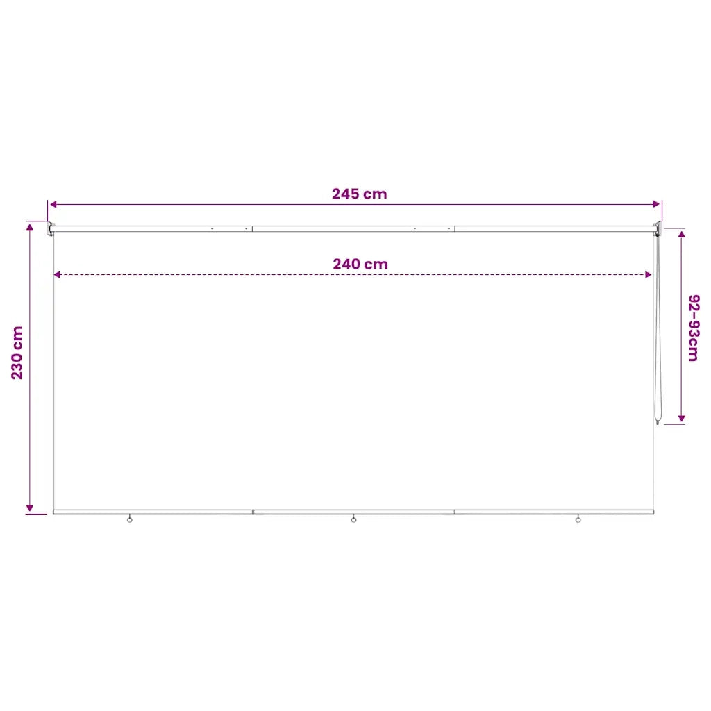 Tenda a Rullo per Esterni 245(L)x230(A) cm color crema 43456