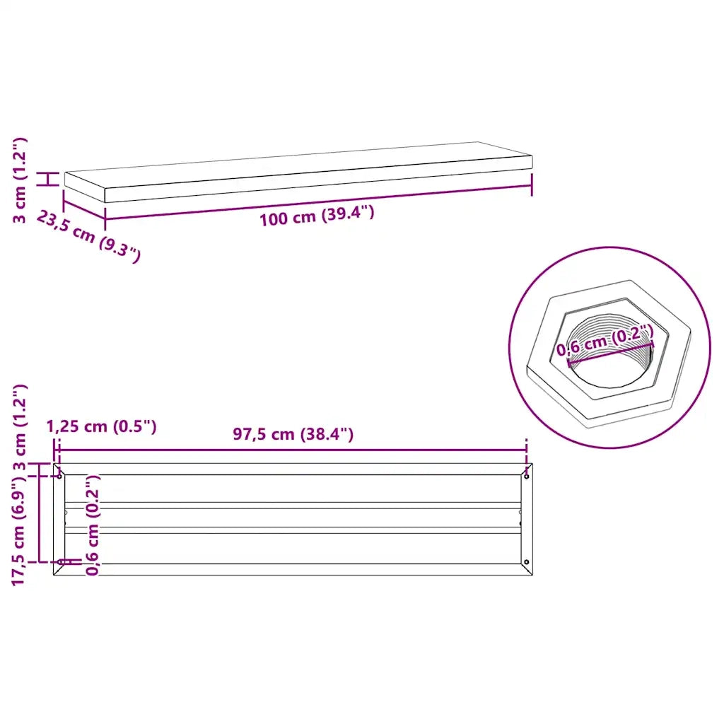 Mensole a Muro 2 pz 100x23,5 cm Nero in Acciaio Inossidabile 30289
