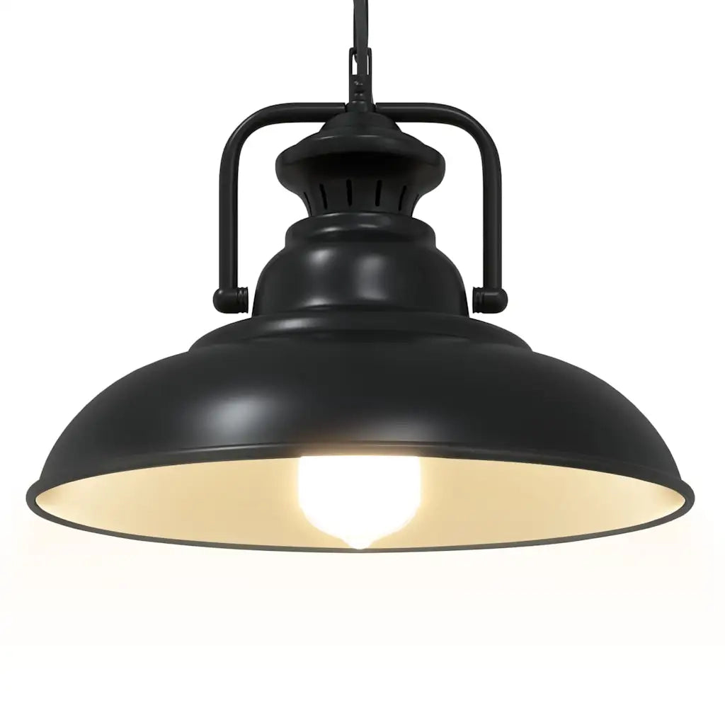 Lampada a Sospensione E27 Nero ?31 cm in Metallo CFW9288922