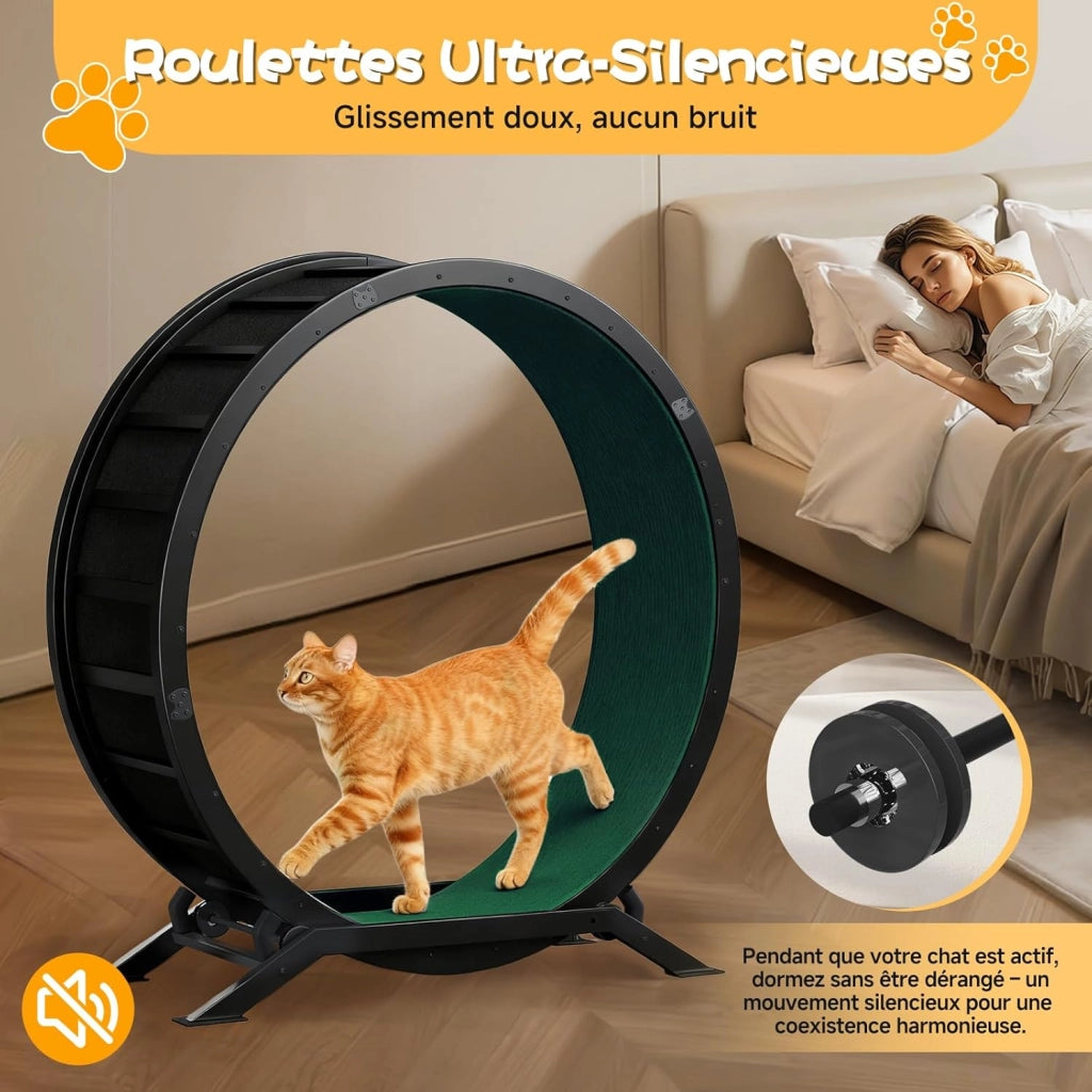 Ruota per gatti, ruota per esercizi per gatti, XL- 100 cm, ultra silenziosa con tappetino rimovibile, adesivi, sistema di bloccaggio, metallo, verde, regali per il vostro gatto