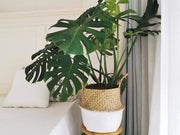 Pianta Decorativa In Tessuto Naturale Con Maniglie Flessibili Per Stivare Asciugamani Giocattoli (32 X 28 cm, Naturale + Bianco)
