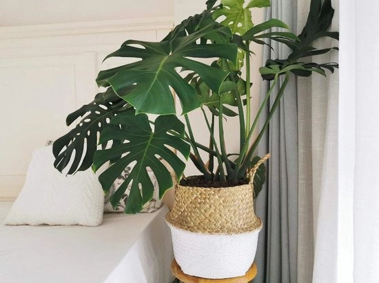 Pianta Decorativa In Tessuto Naturale Con Maniglie Flessibili Per Stivare Asciugamani Giocattoli (32 X 28 cm, Naturale + Bianco)