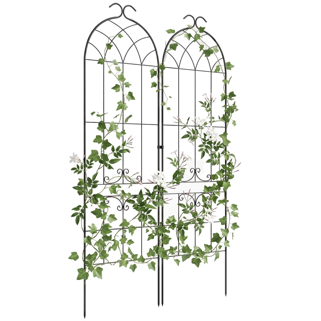 Griglia per piante rampicanti ¨C zephmum ¨C 2 pezzi, metallo, nero, 50x181 cm