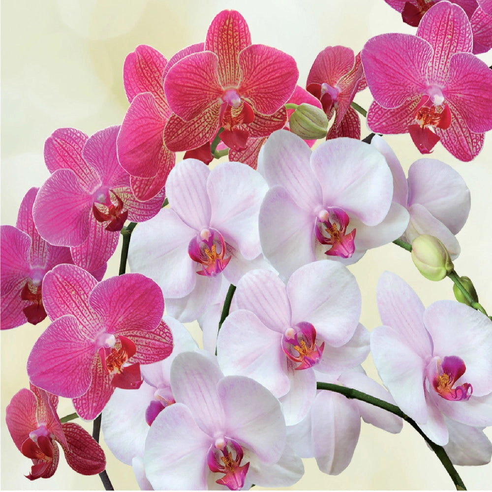 ECOVIT CONCIME liquido per ORCHIDEE con MICROELEMENTI Flortis 500 gr