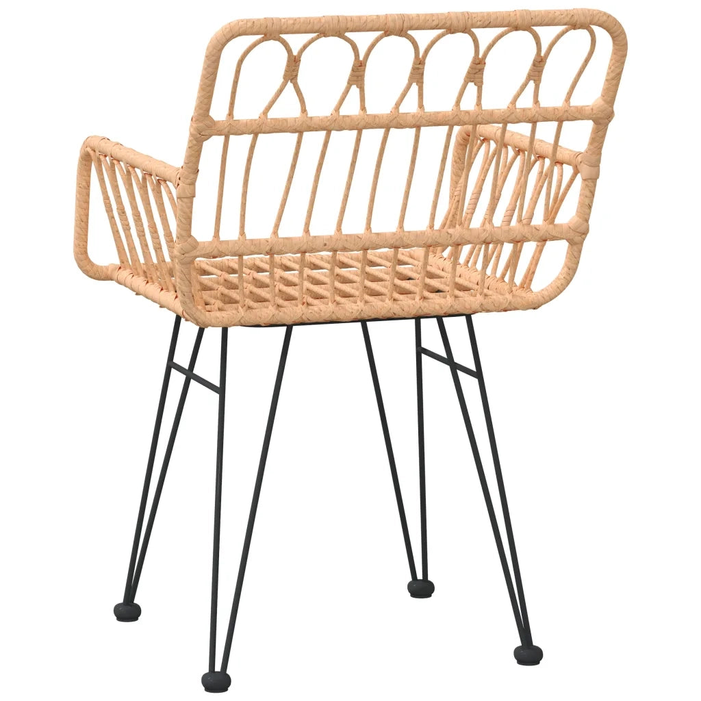 Sedie da Giardino 2 pz | Sedie da Esterno con Braccioli 56x64x80 cm Rattan PE