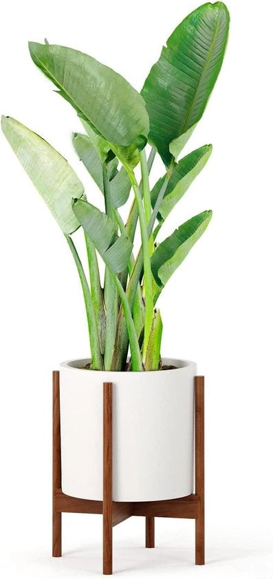 Supporto per piante in legno Acacia, capienza 12", design moderno e semplice, senza contenitore in ceramica.