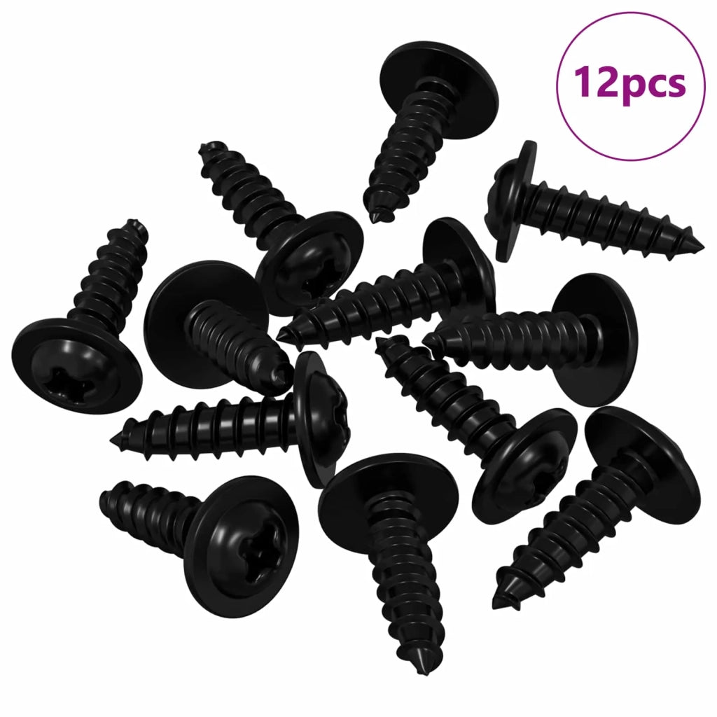 Chiodo autofilettante 12 pcs Nero 3,5 x 12 mm Ferro 864500