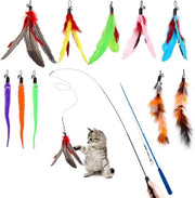 Set di gioco interattivo per gatti - 12 pezzi con 2 bastoncini retrattili