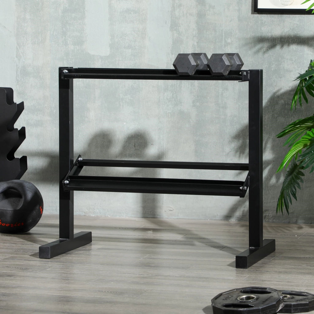 Easycomfort Porta Pesi con 2 Ripiani in Acciaio per Palestra, Casa e Ufficio, 94x52.5x82cm, Nero
