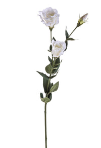 Set 6 Lisianthus Artificiali con Fiori Altezza 75 cm Bianco