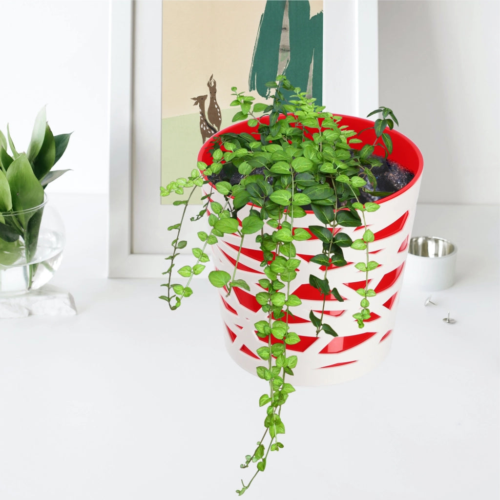 KADAX - Inserto in plastica per vaso di fiori e piante, 15 cm, rosso
