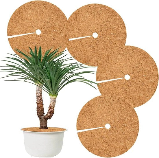 4 dischi di mulch di cocco, Ø30cm protezione invernale per piante, protezione per piante in inverno, copertura per vaso protezione dal freddo, protezione dal gelo per piante, copertura per vaso in cocco, protezione invernale per piante in vaso.