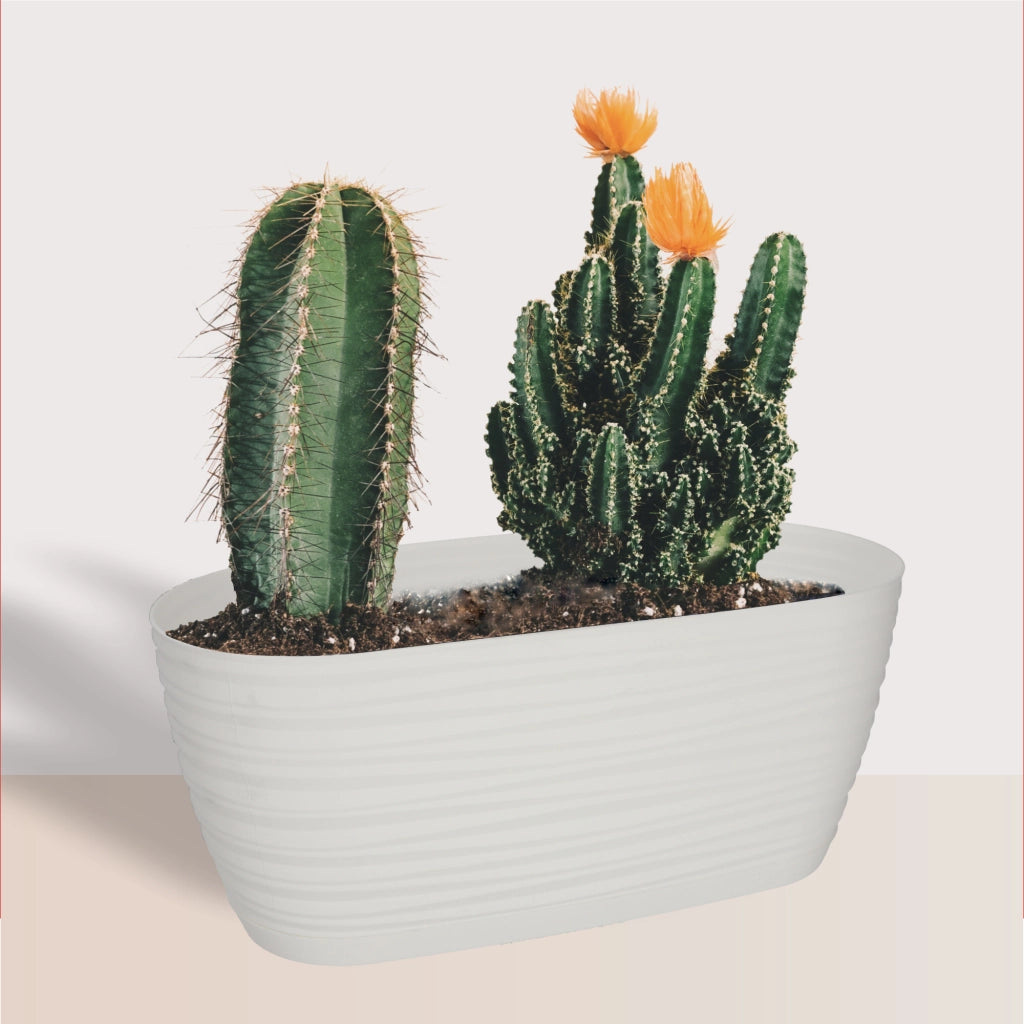 Vaso da fiori KADAX ovale da 27 cm in plastica bianca