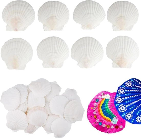 Decorazione per la casa - 20 pezzi - Grande contenitore di conchiglie naturali - Sacchetto di conchiglie per paesaggio miniaturizzato - Decorazione per la stanza - Decorazione per la tavola - Conchiglie per hobby