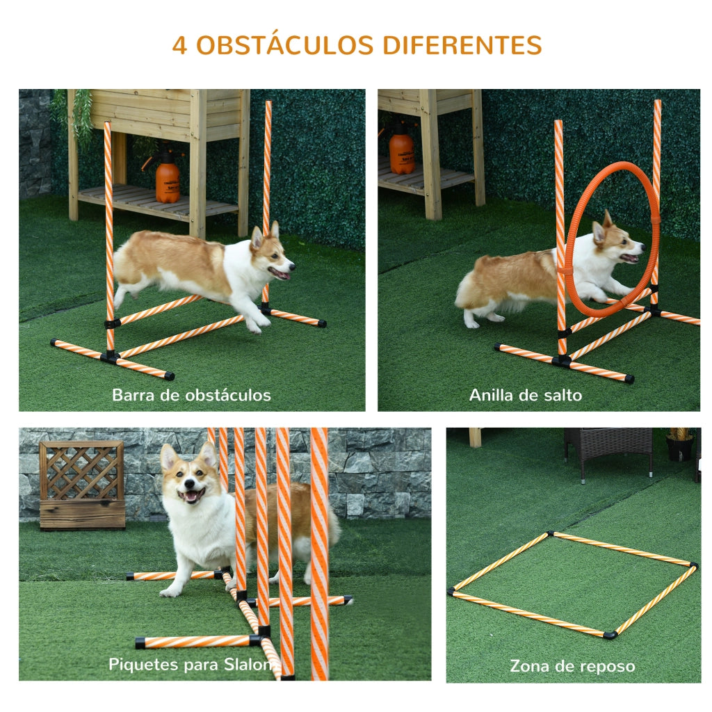 Set Agility per Addestramento Cani con Slalom Ostacoli Ajustables ¨C zephmum ¨C Grigio