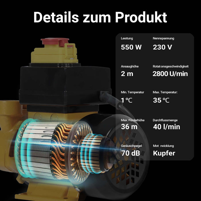 Pompa per diesel gasolio 2.400 l/h 230 V AC 550 W
