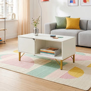 Tavolino Centrale da Salotto Reyri Tavolo Basso con Scomparti e Anta 80x45x42 cm Bianco / color Oro [en.casa]