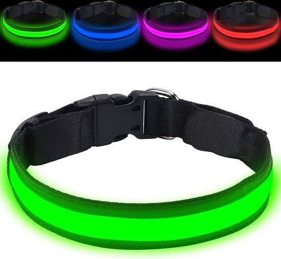 Cani luce – Collare per cani con luce – Lampada per cani - Cani uscita – Lampada per cani con batteria 3V LR44