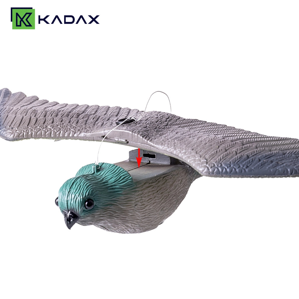 KADAX Kestrel Repellente per uccelli Piccioni Grandi storni Uccelli in volo sul balcone