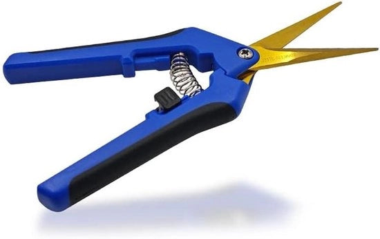 Scegli-sciama con Lame a forma di Gomito in Titanio Giallo Zaffiro Manico a Sguscio Scegli-sciama per Giardino Bonsai Fiori Piante Frutta Bouquet Rosai (Retta)