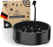 Ciotola per Cani con Spazzola per Pulizia Facile e Capacità fino a 700ml, con Effetto Anti-Slittamento e Ideale per Cani di Taglia Media e Grande.