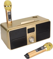 Sistema di Alta Fedeltà Portatile con 2 Microfoni Senza Fili e Bluetooth per Feste a Casa, Riunioni, Matrimoni, Pic Nic, Interno/Esterno - SD-309.