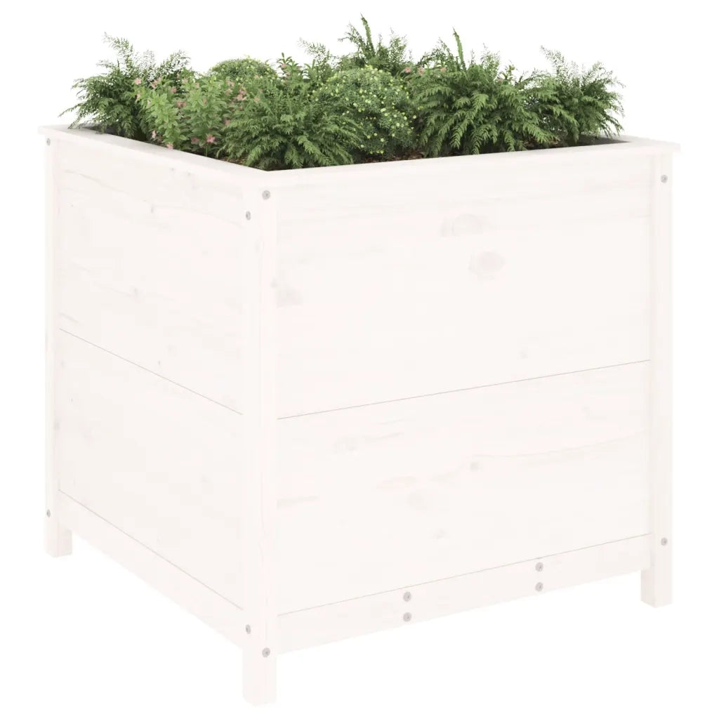 Fioriera da Giardino-Vaso da Esterno Bianca 82,5x82,5x78cm Legno Massello Pino