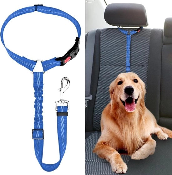 Cintura di sicurezza per cani - 2 pezzi - cintura di sicurezza per cani con elastico - per cani piccoli e medi - cintura con elastico retrattile - cintura per cani con anello - cintura retrattile per cani
