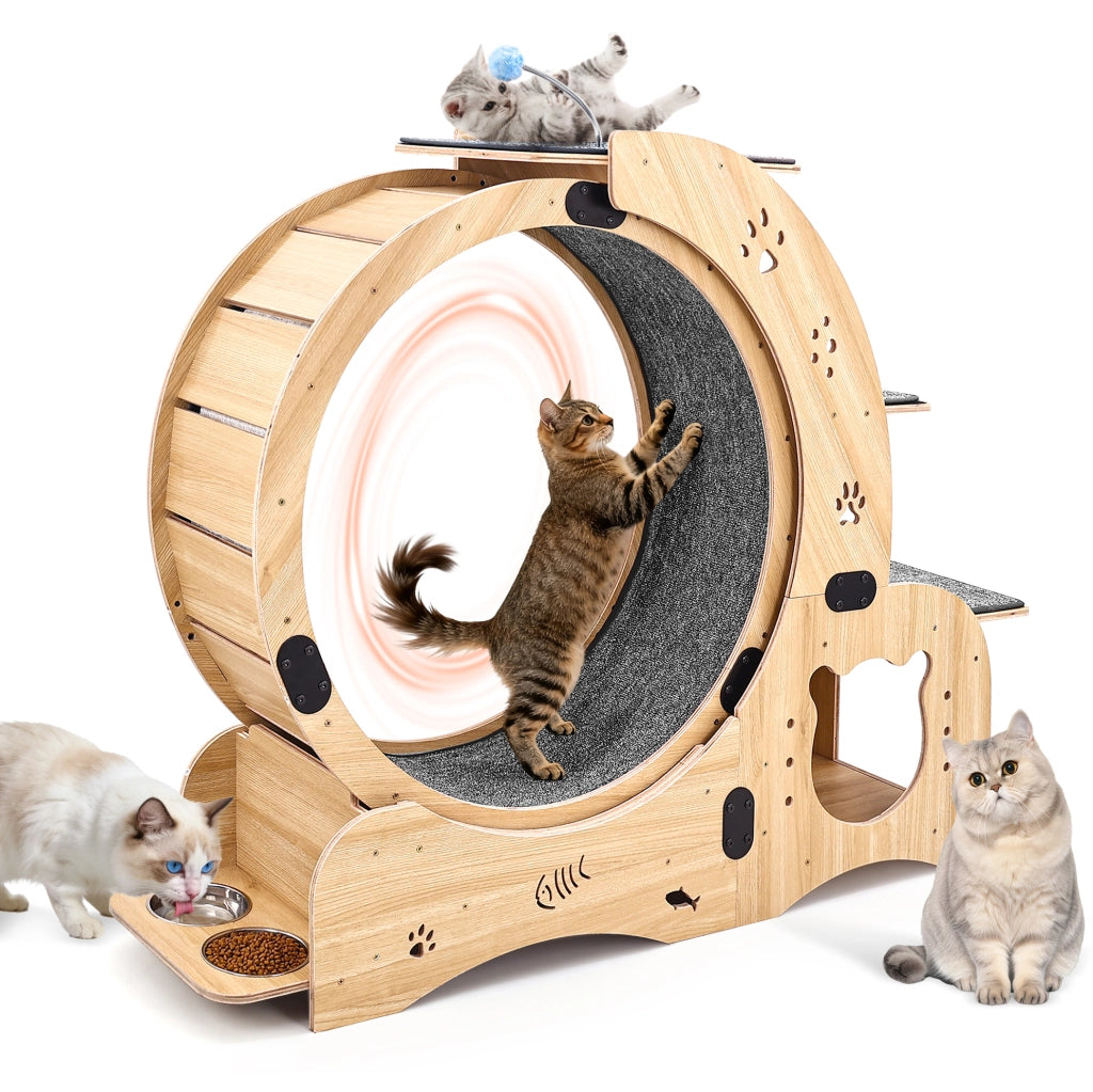 Ruota da esercizio 6 in 1 per gatti in legno naturale