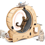 Ruota da esercizio 6 in 1 per gatti in legno naturale