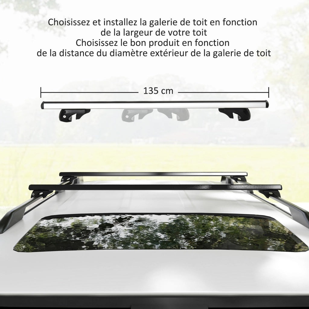 Portabagagli per Auto ¨C Zephmum ¨C 135 cm, Alluminio, Argento
