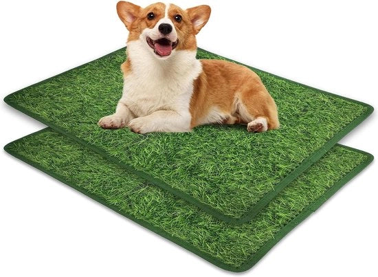 2 Mattonelle di Finto Erba per Addestramento di Animali Domestici Indoor/Outdoor Utilizzo