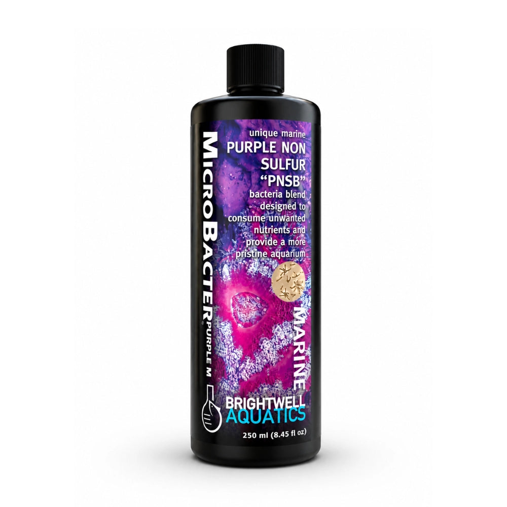 Brightwell Aquatics MicroBacter Purple M 250ml - attivatore batterico con batteri PNSB per acqua marina