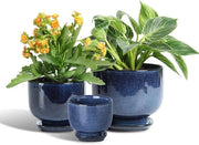 Pannelli Ceralici per Piante Indoor - 6.8/5.5/4.3 Pollici con Foro di Scarico e Saucer per Succulente, Orchidea, Fiori, Erbe, Cactus - Decorazione per Giardinaggio, Casa, Desktop, Ufficio - Set da 3 Blu