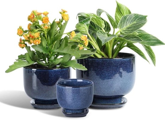 Pannelli Ceralici per Piante Indoor - 6.8/5.5/4.3 Pollici con Foro di Scarico e Saucer per Succulente, Orchidea, Fiori, Erbe, Cactus - Decorazione per Giardinaggio, Casa, Desktop, Ufficio - Set da 3 Blu