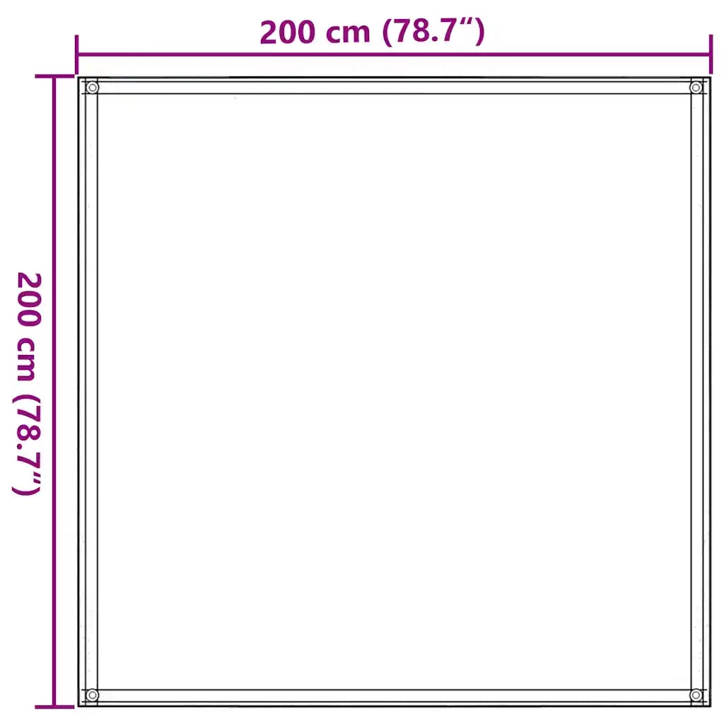 Tappeto da Tenda 200x200 cm Antracite 310676