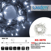 Trade Shop - Catena Luminosa 100 Luci Led Lucciole Colore Bianco Tutto Intermittente Xc-3070 -