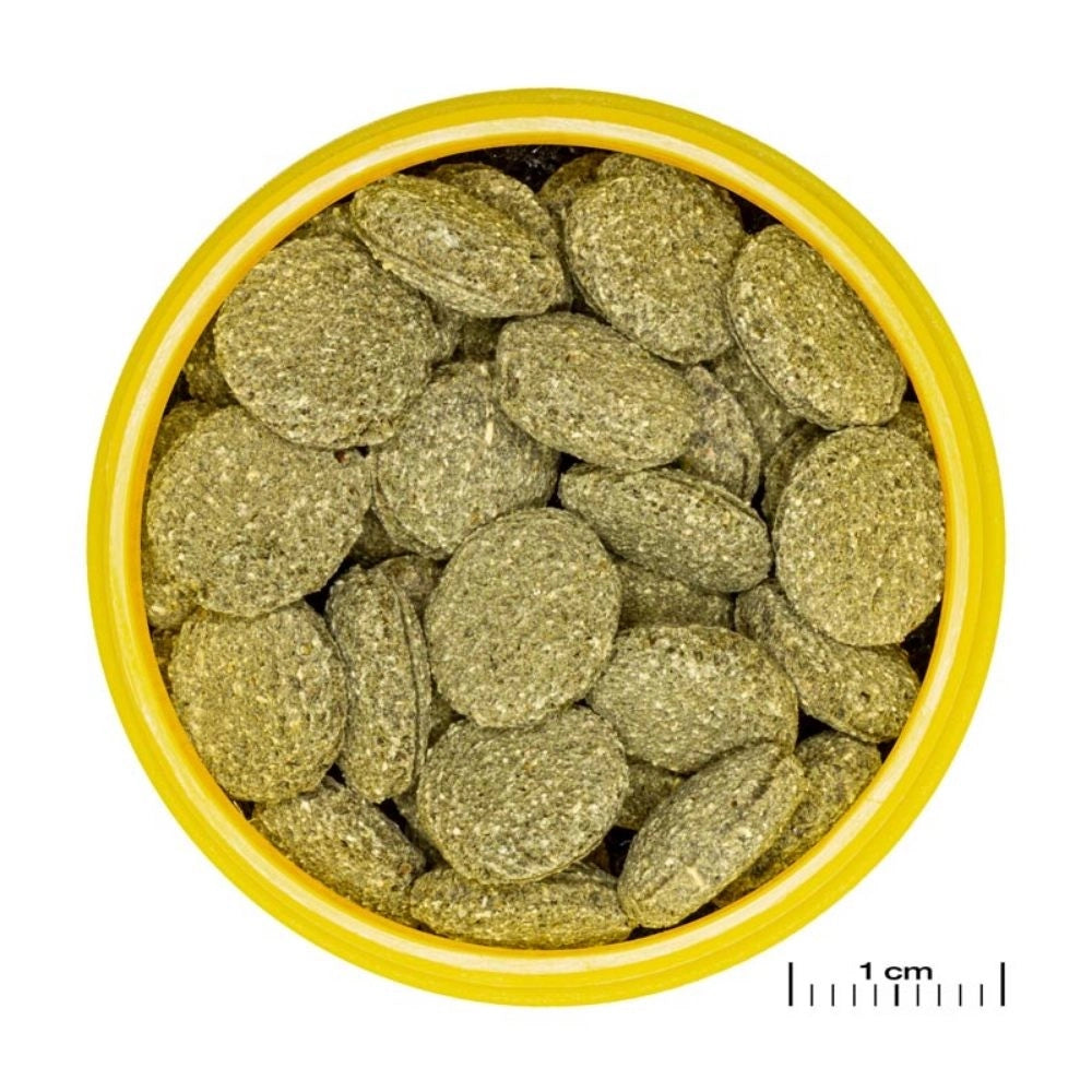 JBL ProNovo Pleco M - Compresse di mangime per loricaridi erbivori da 1 a 20cm Formato: 250 ml