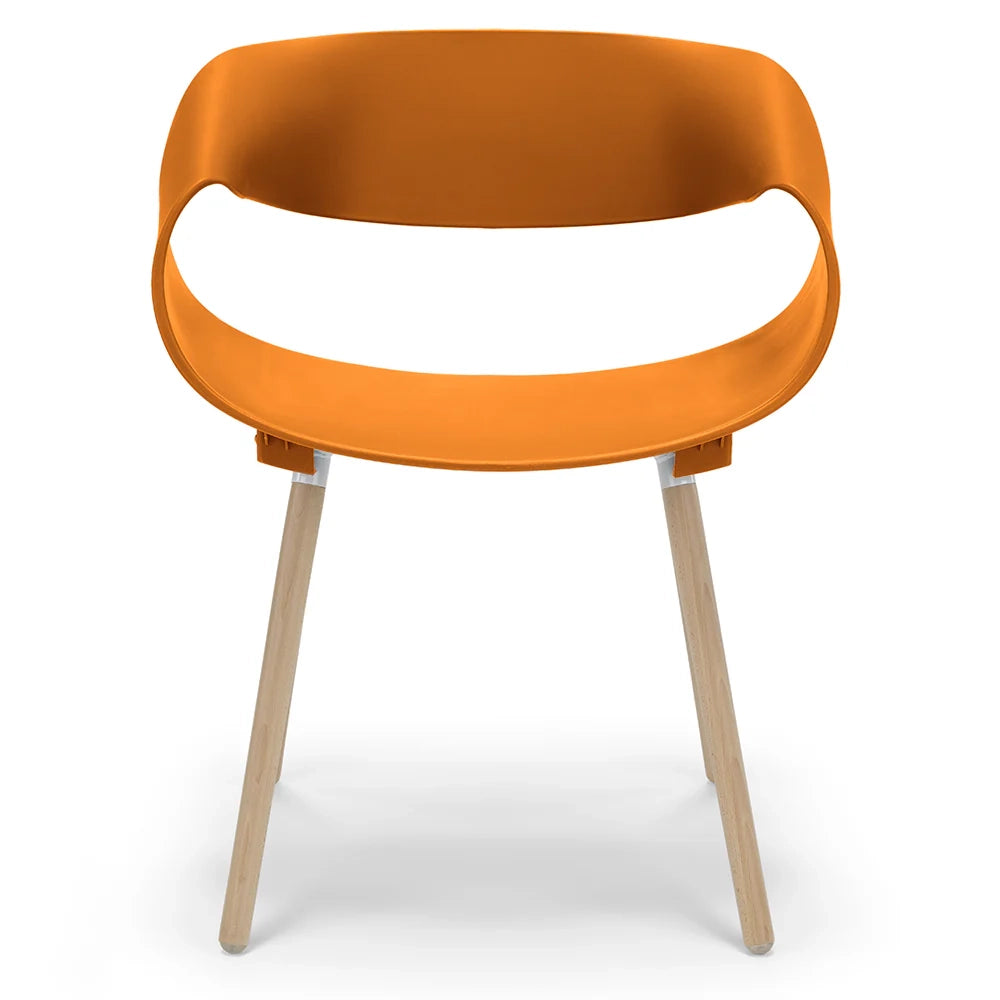 Set 4 sedie in polipropilene DILETTA con gambe in faggio, resistente ai raggi UV, design moderno, ideale per sala da pranzo, cucina, sala d’attesa, bar, ristoranti, colore Petrolio