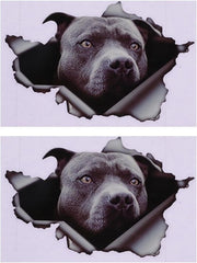 Stickers Riflettenti per Auto - Paraurti e Vetri - 2 Pezzi