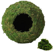 Vivario Decorativo per Geco/Krocodili - Habitat Decorativo Bioattivo - Schermo Idrofilo per Geco/Krocodili - Decorazione per Vivario - Manto Verde Naturale - 4-7 Pollici